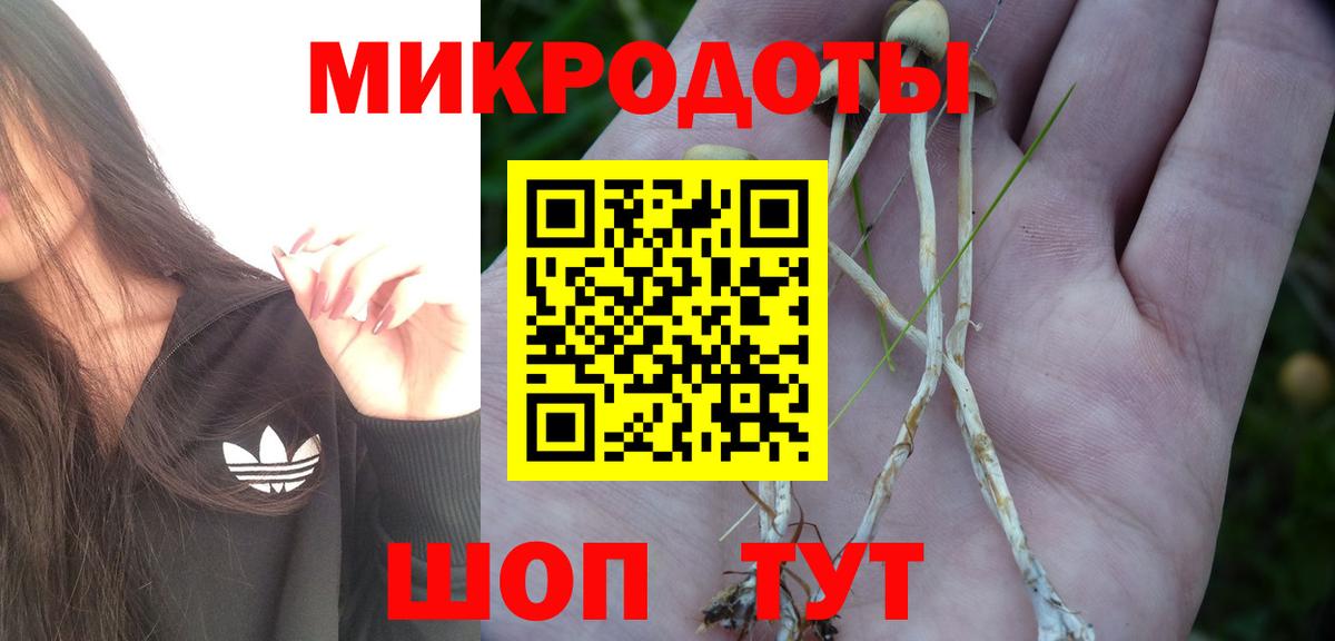 Псилоцибиновые грибы Cubensis  наркотики  Псилоцибиновые грибы ЛСД  Азнакаево  Вход с VPN 